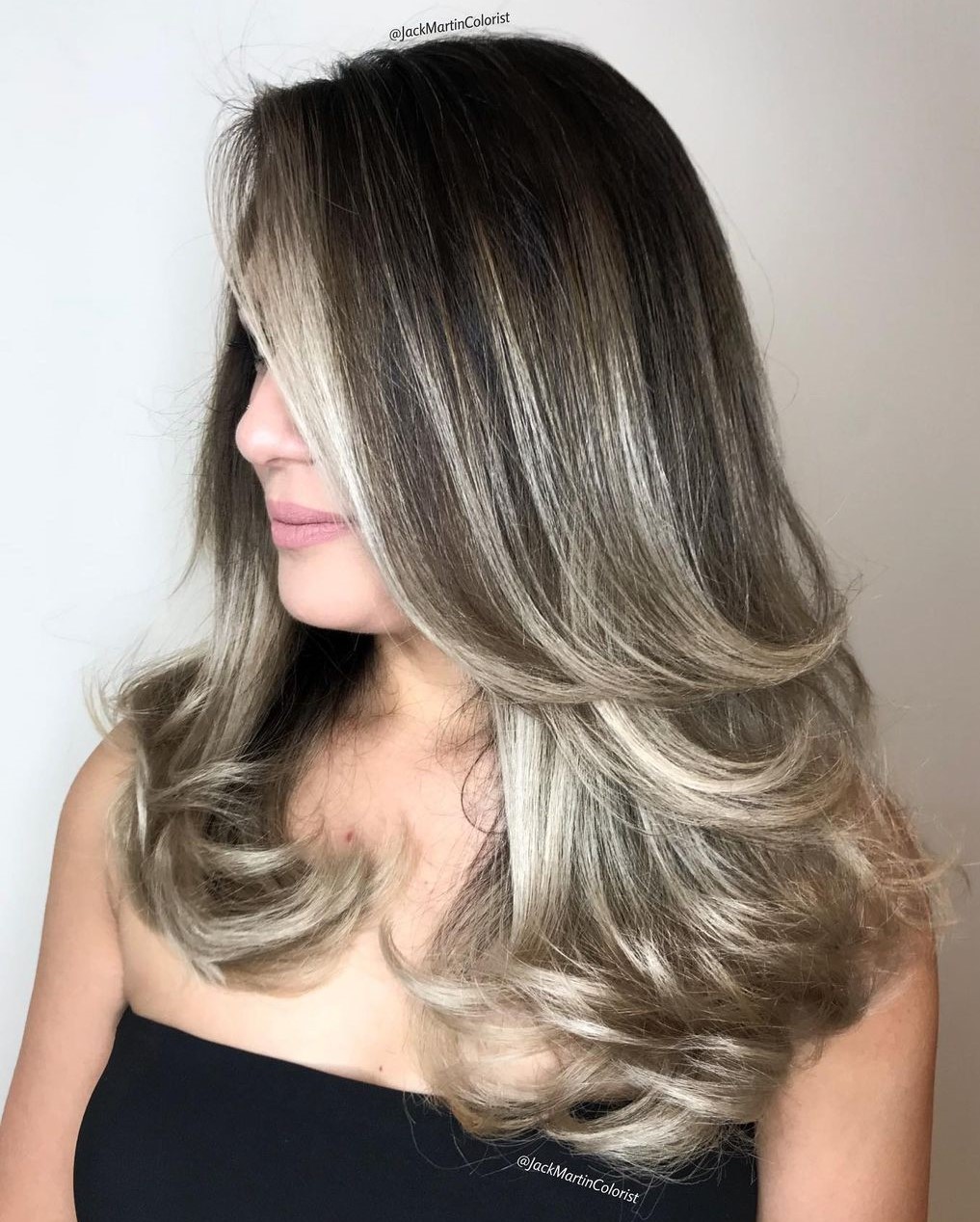 Long Brown Hair with Silver Balayage